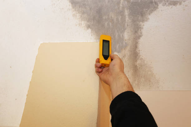Best Emergency Mold Remediation  in Jefferson, IA