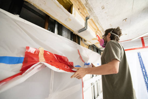 Best Asbestos and Lead Testing During Mold Inspection  in Jefferson, IA