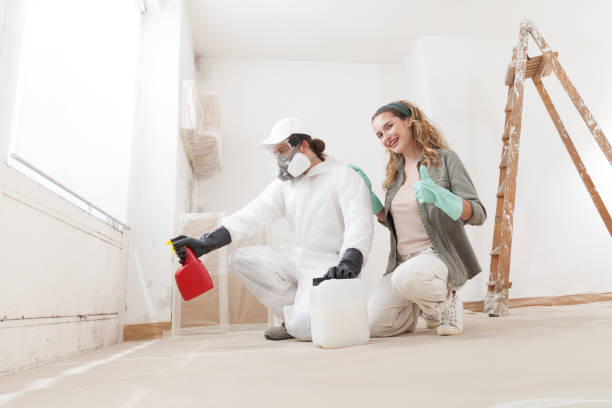 Environmental Consulting for Mold Prevention in Jefferson, IA