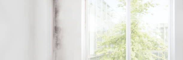 Best Indoor Air Quality Assessment  in Jefferson, IA